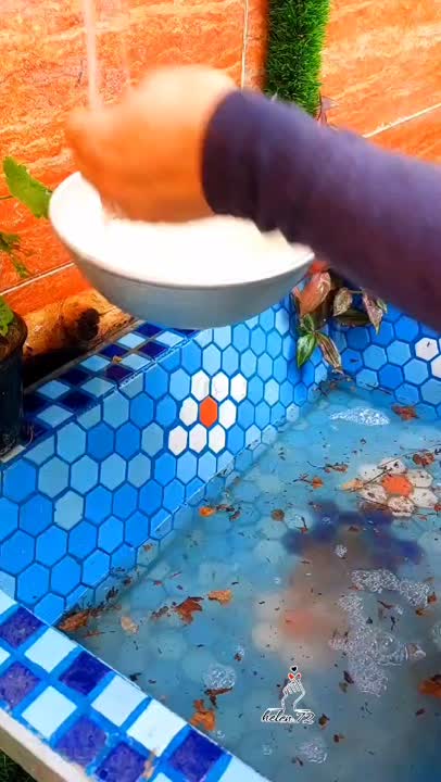 قیمه نثاربا مرغ