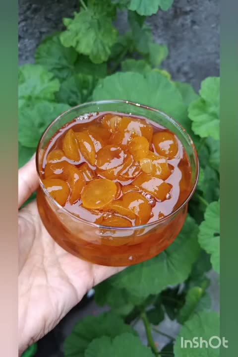 # مربای کامکوات ??