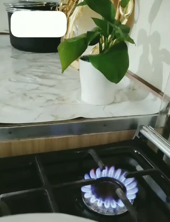 رنگینگ خرما