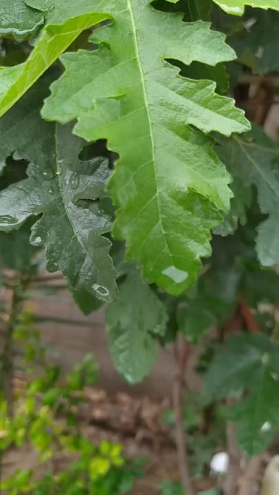 روزمرگیصدا رو تا ته ببر بالا❤️