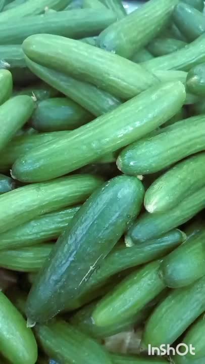 خیارشور خونگی❤مرسی از مامان قشنگم که همراهیم کرد?