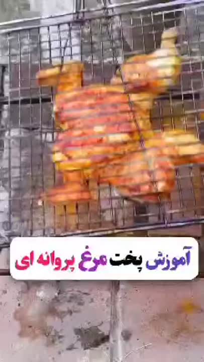 مرغ پروانه ای 