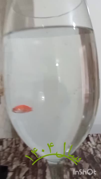 هفت سین ۱۴۰۴ 