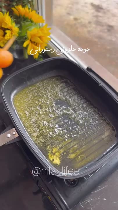 جوجه حلزونی