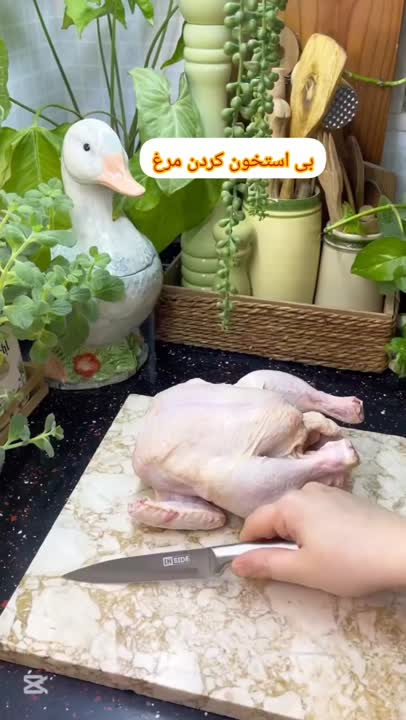 بی استخوان کردن مرغ
