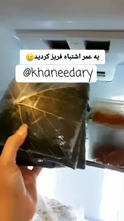 نگهداری برگ مو