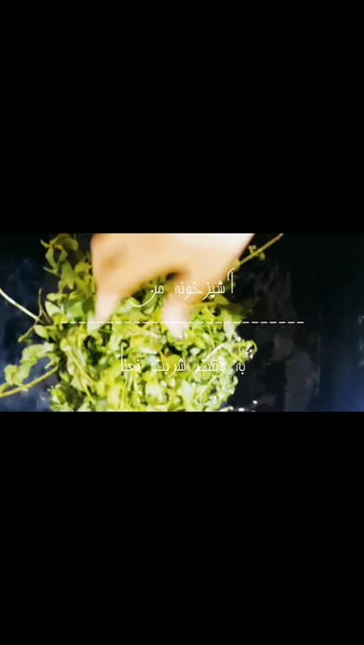 اولین ویدیو خودم ساز 