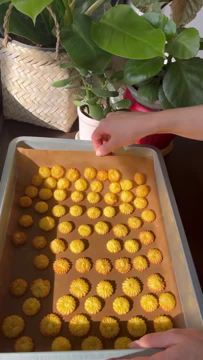 سیب زمینی شکوفه ای