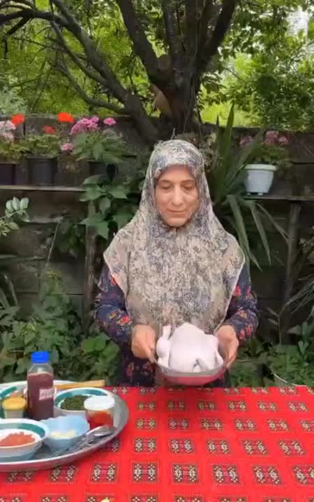 مرغ شکم پر شمالی