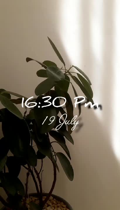 کیک توت فرنگی 