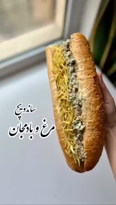 ساندویچ مرغ و بادمجان