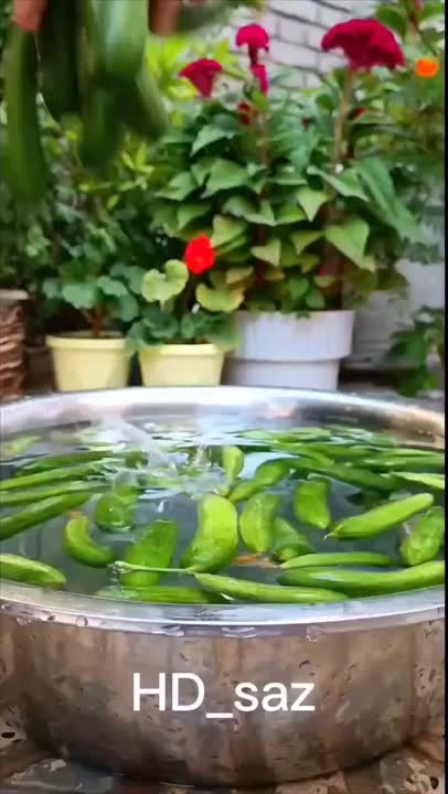 خیار شور ترد خونگی