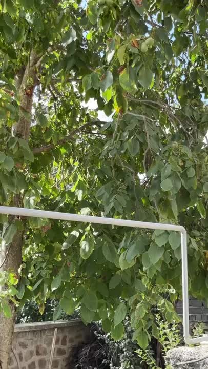 صبح اینگونه باید آغاز شود