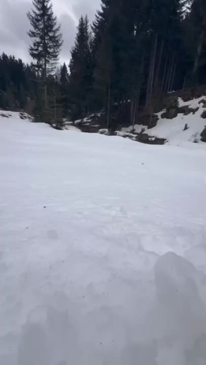 آشپزی در طبیعت