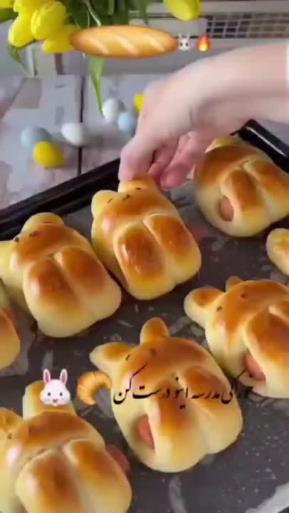 لقمه مدرسه خرگوشی