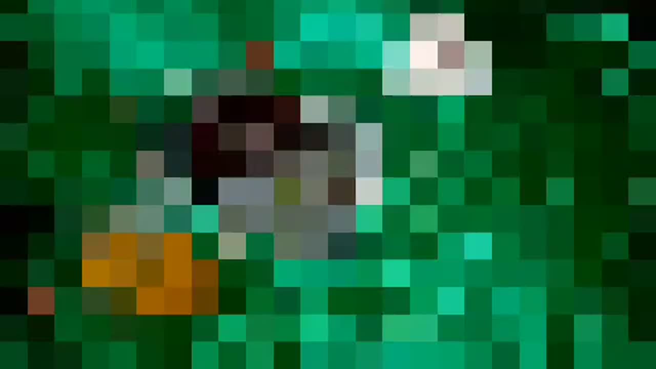 سفره‌ی امامت 