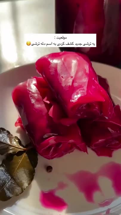 دلنه ترشی فوق العاده خوشمزه?پیشنهادم اینه امتحانش کتید?