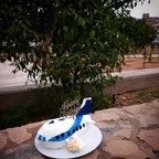 کیک به شکل هواپیما