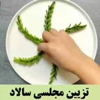 تزئین سالاد فصل