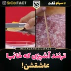 ترفند آشپزی