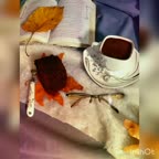 کیک قوطی