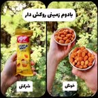 بادام زمینی روکش دار