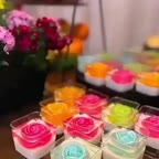 پاناکوتای رنگی