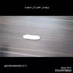 پیچیدن نان سیمیت ققنوس