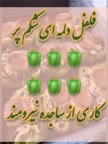 فلفل دلمه ای شکم پر