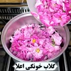 گلاب خونگی اعلا