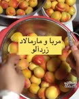مربا زردآلو