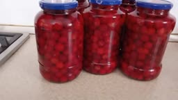 ترشی البالو