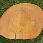 ایده آشپزی در طبیعت