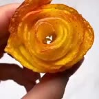 گل سیب زمینی