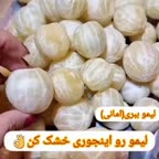 لیمو عمانی