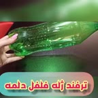 ژله فلفل دلمه ای