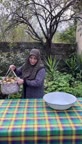 رب انار