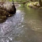 اشپزی در طبیعت :)