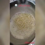 پخت برنج طارم مجلسی۳