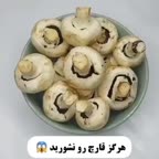 اطلاعات عمومی