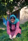 مرغ ترش شمالی
