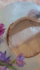 کیک گربه سیاه