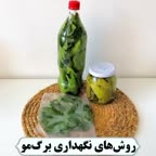 روش نگهداری برگ مو