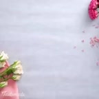 فیلم آموزشی شکلاتی جذاب