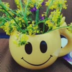 عصرونه بهاری