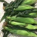 بلال و اینجوری درست کن