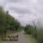 کباب چنجه لرستان (گله برژ)