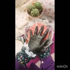 قسمت اخر entremet love