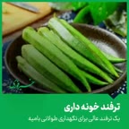 نگهداری بامیه مدت طولانی.