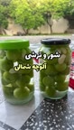 شوروترشی الوچه شمالی